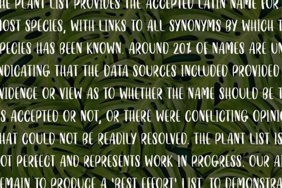 Emberlynn Font Poster 11