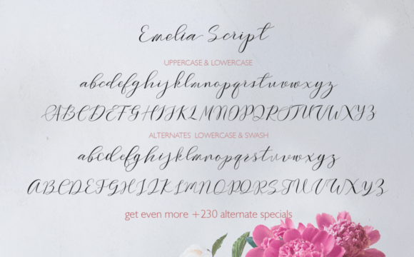 Emelia Font Poster 5