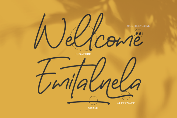 Emitanela Font Poster 12