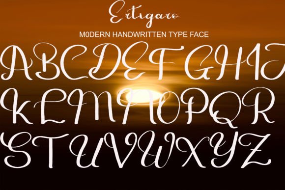 Ertigaro Font Poster 6