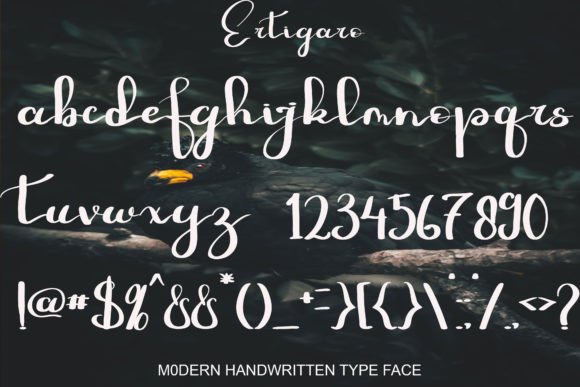 Ertigaro Font Poster 7
