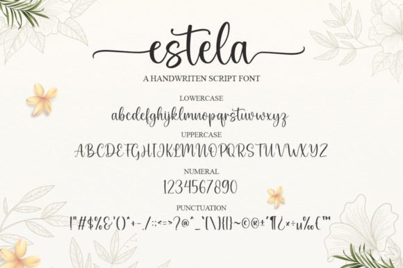 Estela Font Poster 6