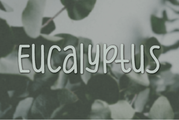 Eucalyptus Font Poster 1