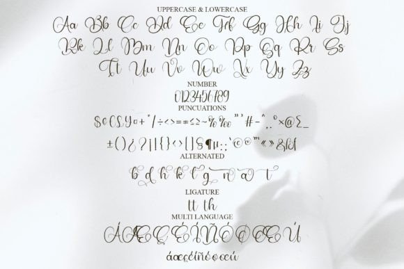 Eviden Font Poster 7