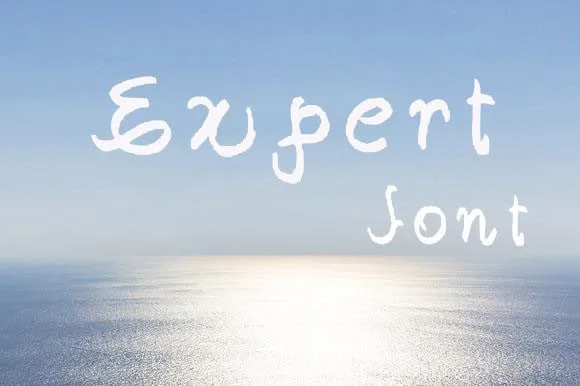 Expert Font Poster 1