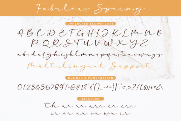 Fabulous Spring Font Poster 6