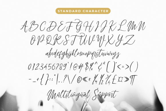 Fadhillah Signature Font Poster 6