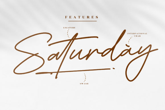 Falcon Picture Font Poster 12