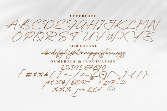 Falcon Picture Font Poster 13