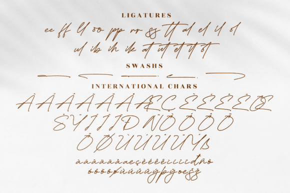 Falcon Picture Font Poster 14