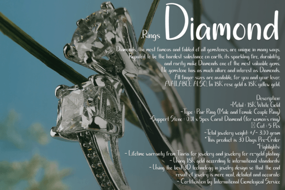 Family Font Poster 5