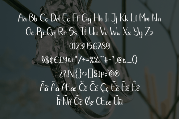 Family Font Poster 7