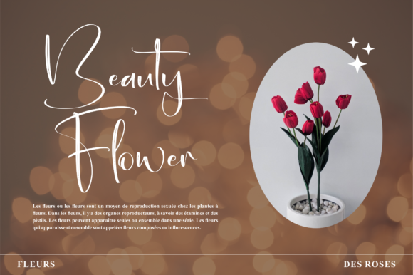 Fantasia Font Poster 2