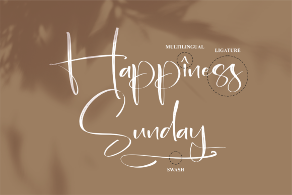 Fantasia Font Poster 12