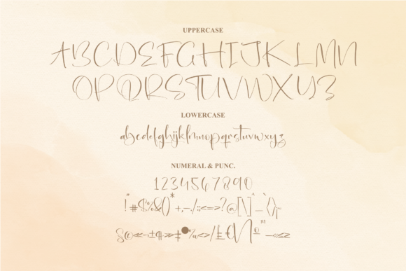 Fantasia Font Poster 13