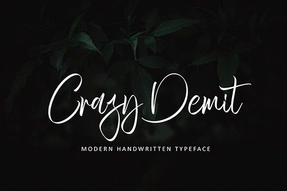 Fanter Girly Font Poster 4