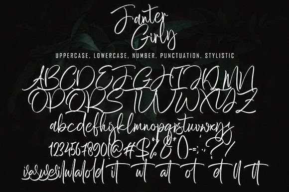 Fanter Girly Font Poster 8