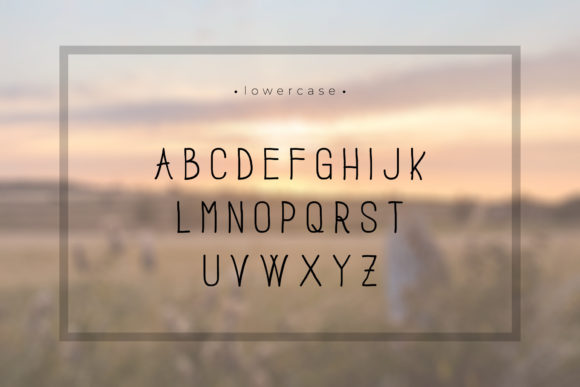 Farmhouse Font Poster 4