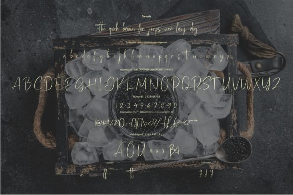 Fatolines Casidenal Font Poster 6