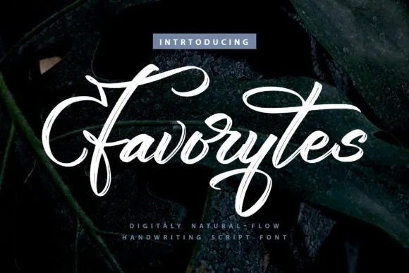 Favorytes Font Favorytes Font Poster 1