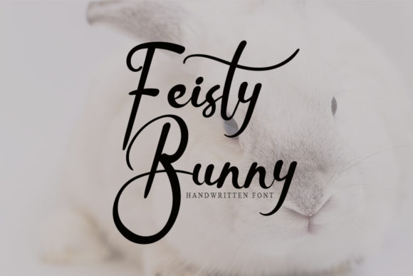 Feisty Bunny Font Poster 1