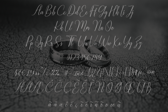 Female Font Poster 9
