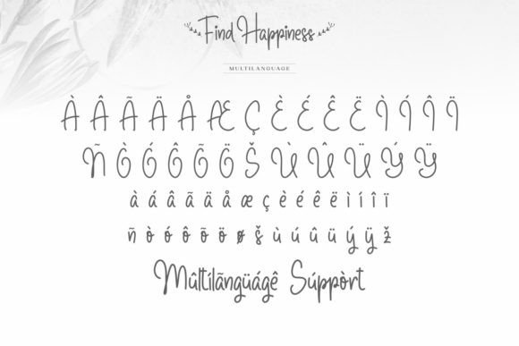 Find Happiness Font Poster 6