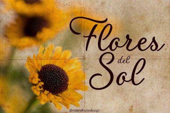Flores Del Sol Font