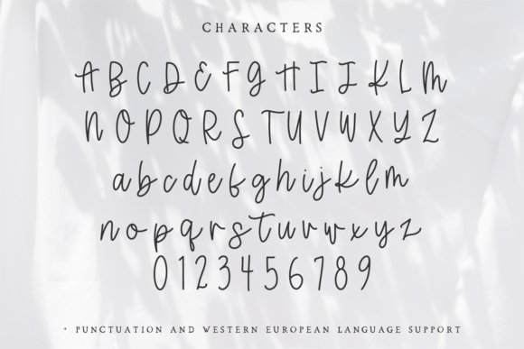 Flower Market Font Poster 10