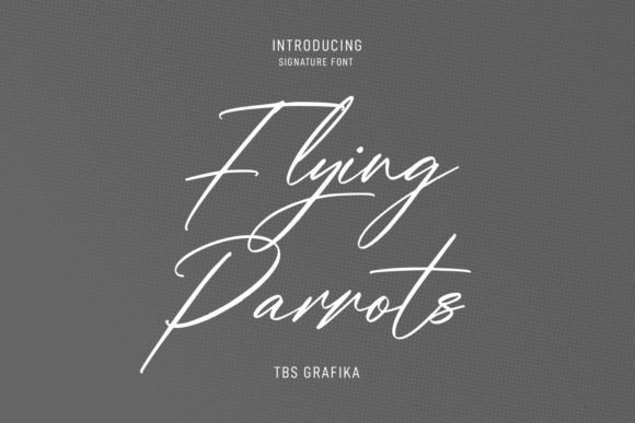Flying Parrots Font Poster 1