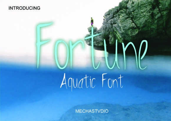 Fortune Font Poster 1