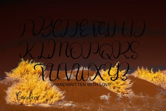 Freiburg Font Poster 6