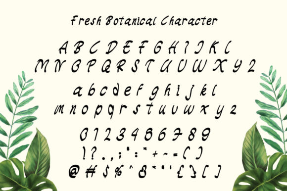 Fresh Botanical Font Poster 5