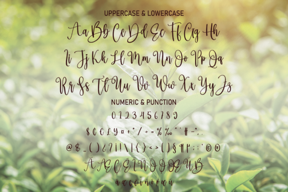 Freshtea Font Poster 7