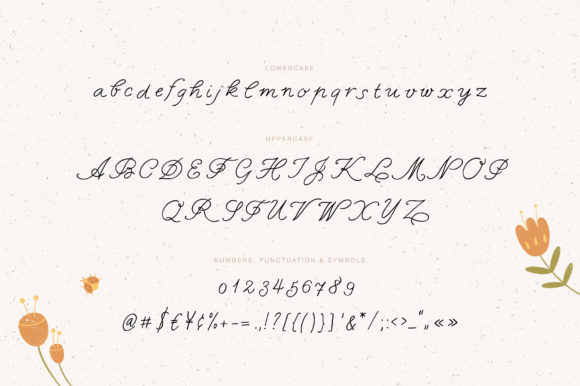 Funny Cat Font Poster 3