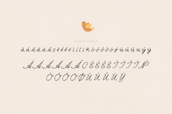 Funny Cat Font Poster 4