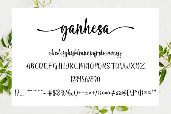 Ganhesa Font Poster 5