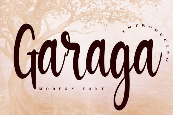 Garaga Font Poster 1