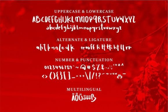 Garden Nisty Font Poster 6
