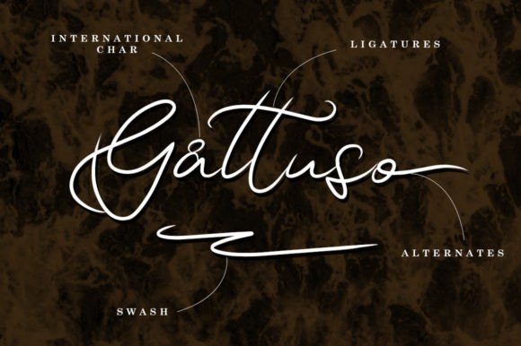 Gatusso Font Poster 10