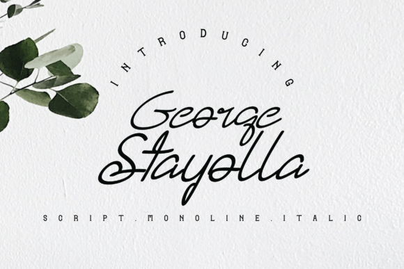 George Stayolla Font Font