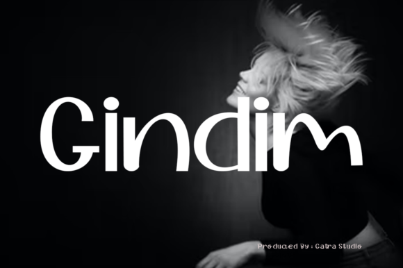 Gindim Font Poster 1