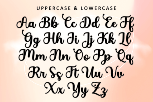 Girly Stylish Font Poster 7