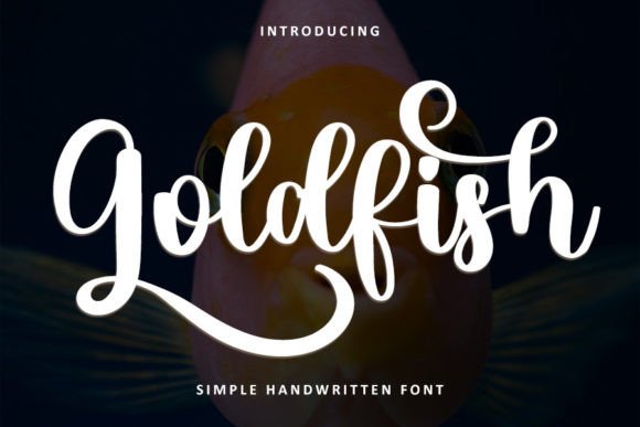 Goldfish Font Poster 1