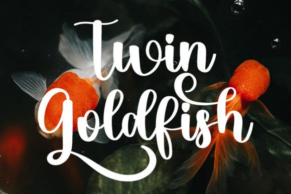 Goldfish Font Poster 7