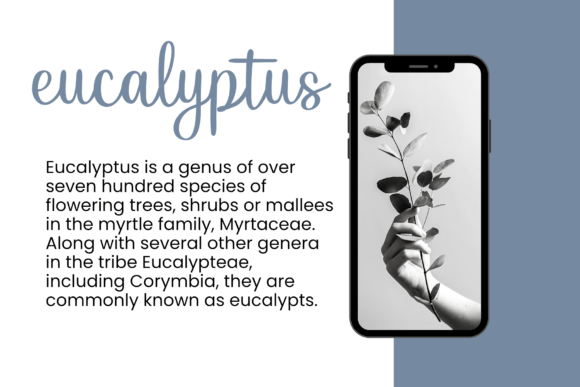 Gracility Font Poster 7