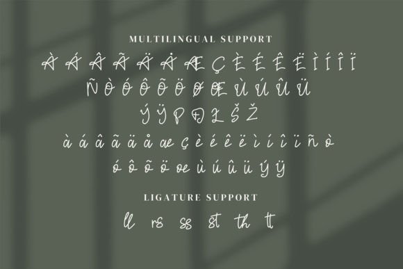 Gratte Passie Font Poster 7