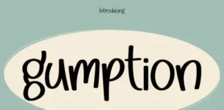 Gumption Font