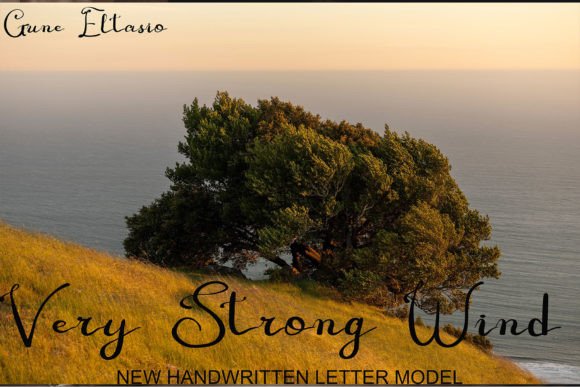 Gune Eltasio Font Poster 5