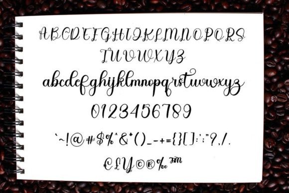 Guppy Font Poster 4